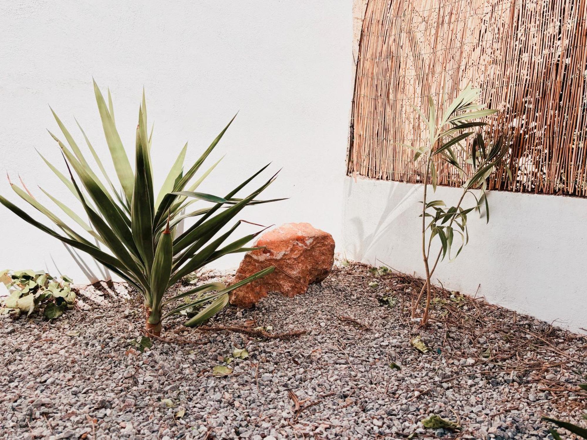 Appartement Avec Jardin Privatif A 300M De La Plage *2* Canet-en-Roussillon Exterior foto